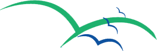 logo-shape